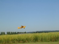 DSCN3530.JPG